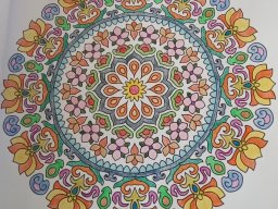 whatsapp bild 2023-08-08 um 11.20.47